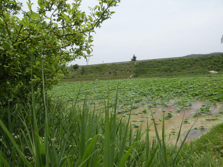 합천군산림조합 이미지