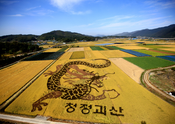 들녘에 이미지