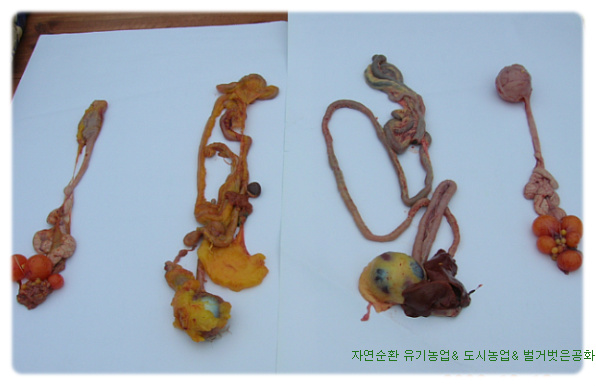 영동사료 이미지
