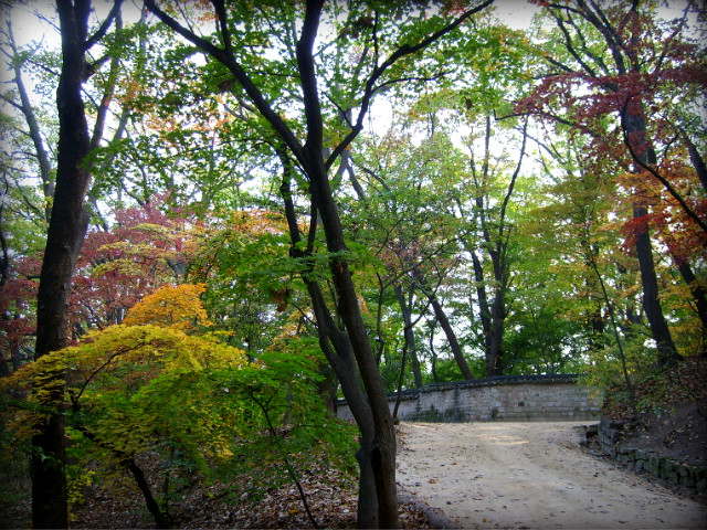 203444204AF2A2436AFABF