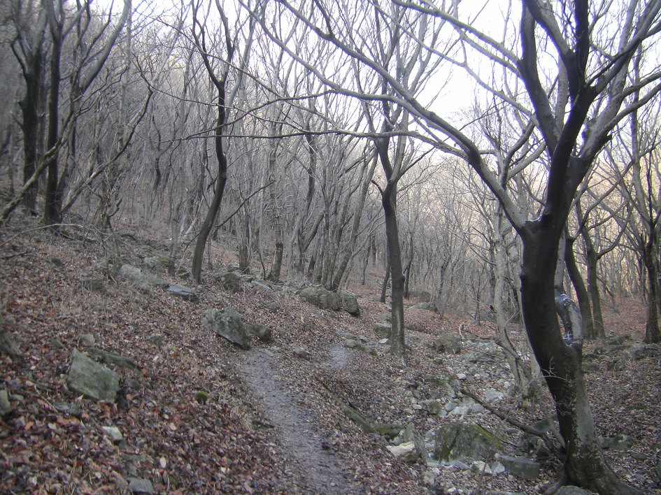 김해 금병산-응봉산