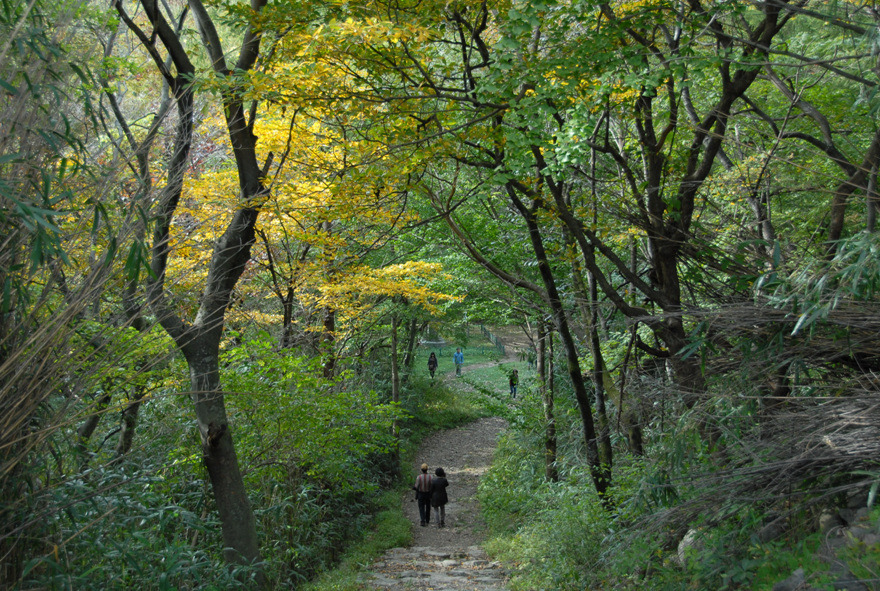 계룡산 갑사