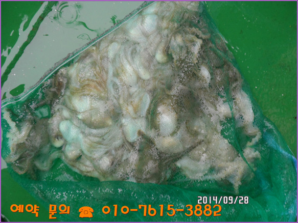 2121353D5428090325F4F0