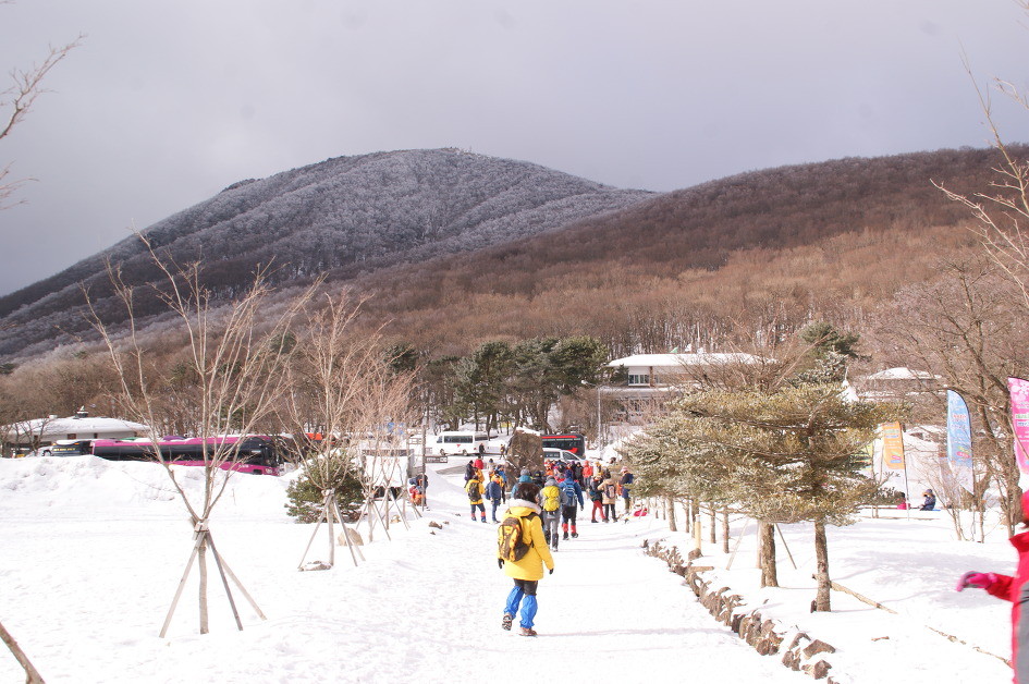 한라산 이미지