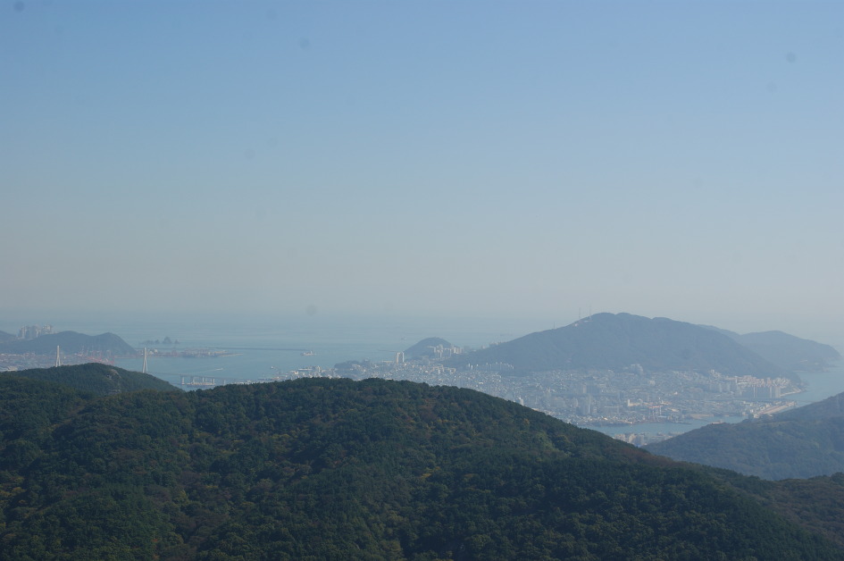 엄광산 ~ 구덕산 ~ 승학산(14.10.18 (토)) 억새