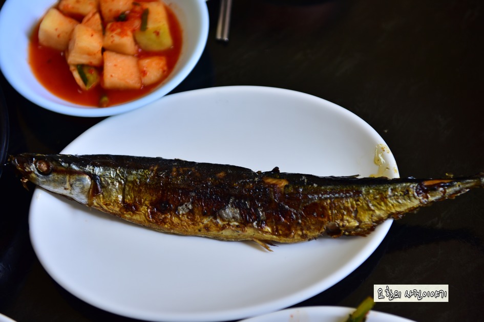 토속음식전문점 금성식당 청국장 [용인 양지맛집]