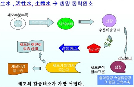 잠들기 전 ‘물 한잔’ 꼭 마셔야 하는 이유 7가지. 