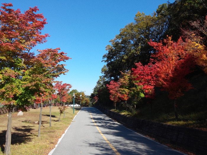 옥성 자연휴양림 풍경