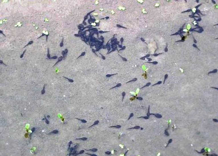 220F013F5906AE7907D60C