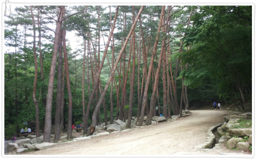 [문경 가볼만한 곳/ 문경여행] 문경새재 과거길(옛길)