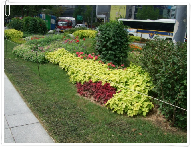 리더가 되기위한 8가지 원칙