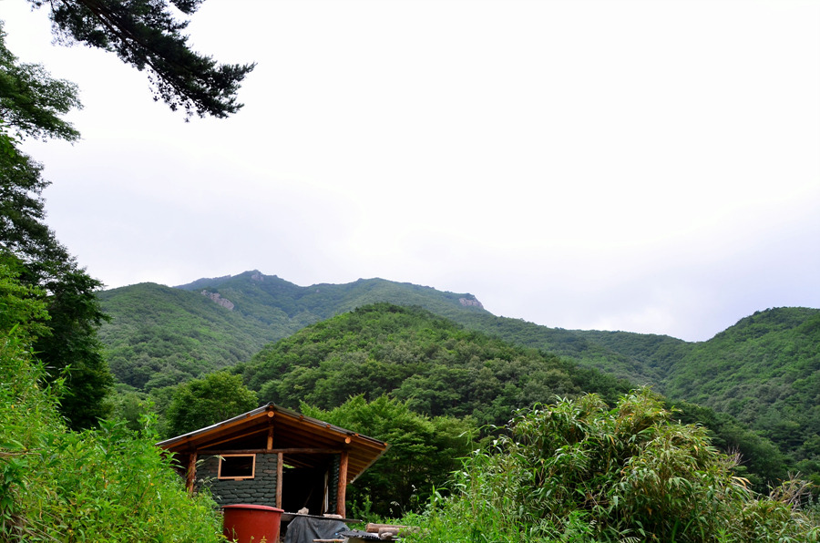 <498차>향로산 해발 976미터 등반