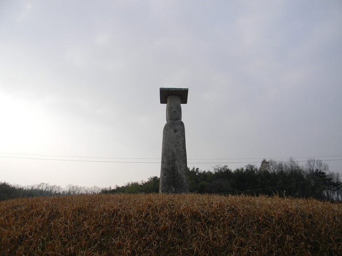 서로 애타게 바라보고 있는 익산 고도리 석불입상 (석조여래입상)