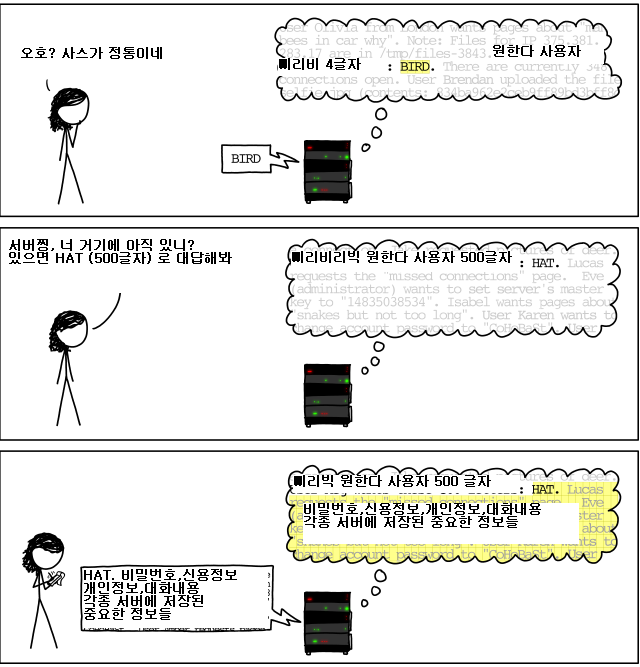 보안문제 - 하트블리드 (Heartbleed Bug) 버그의 작동원리