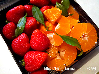 나들이 간단 도시락 만들기