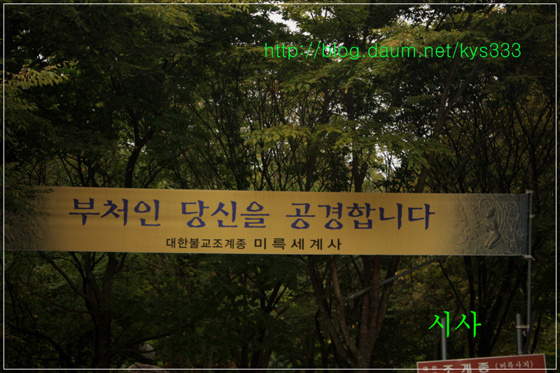 충주 미륵대원지...2014년 10월.