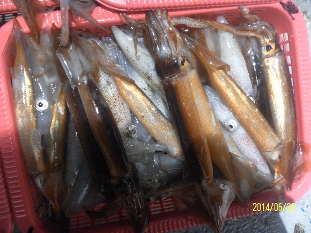 231FCC4353A3527B09324F