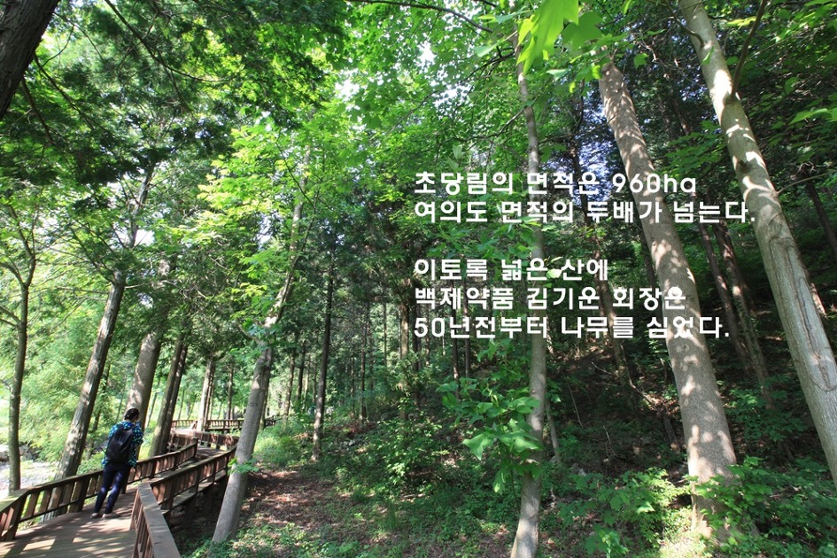 남도의 시크릿 가든 강진 초당림. 숲 속 힐링체험