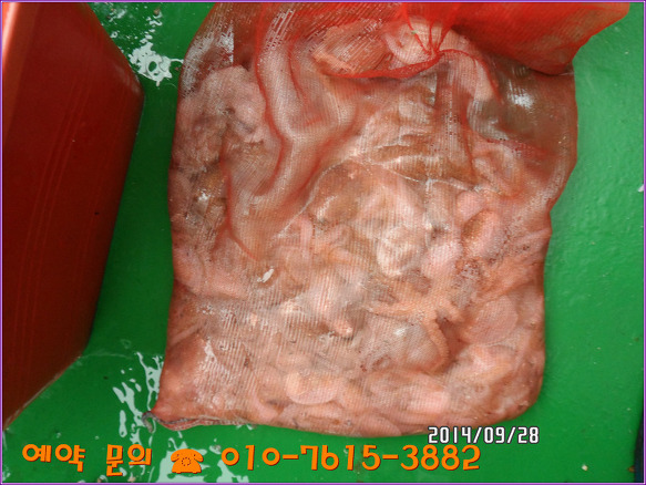 23210B3D54280902257692