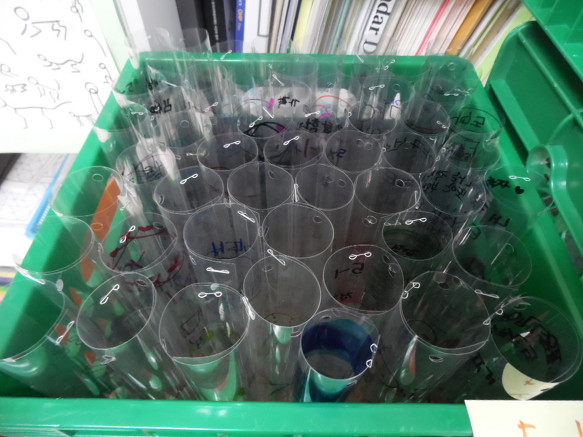(모빌)나의 꿈, 가족사랑 
