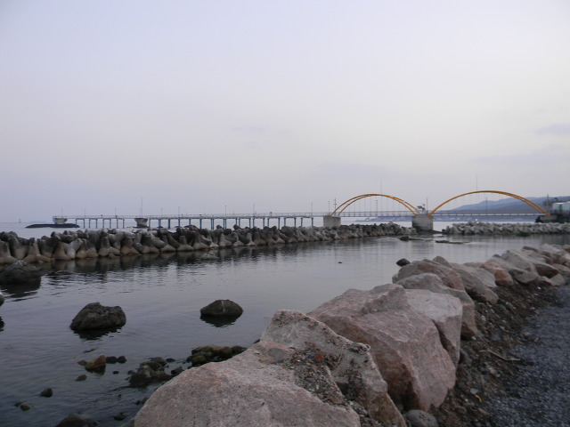 울산 당사항 (당사항의 야경)