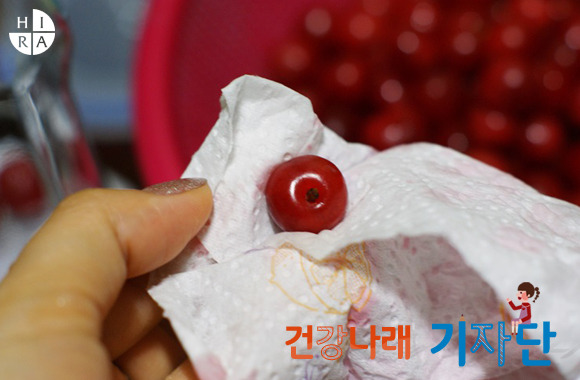 앵두청과 이미지