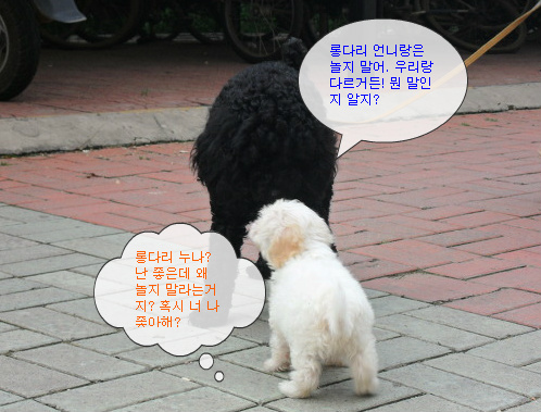 큰애에 대한 뒷담화가 나쁘지만은 않아