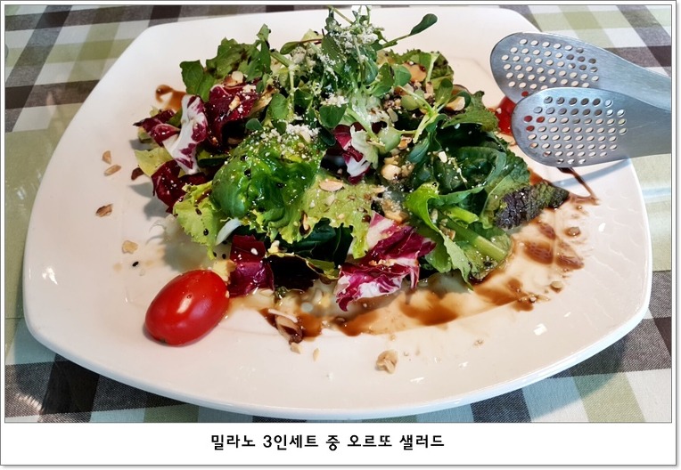 오르또 이미지