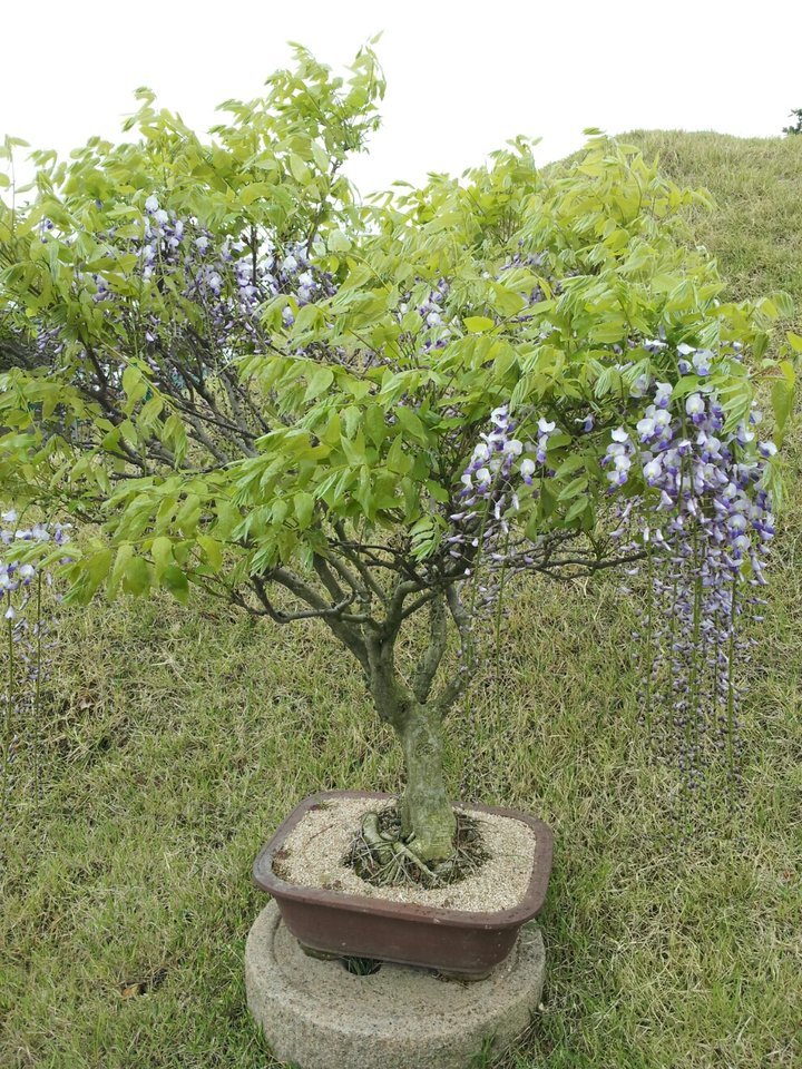 산이 좋아서