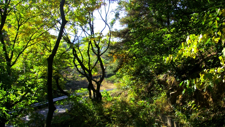 2532FC47544B8524138870