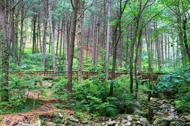 산음자연휴양림 이미지