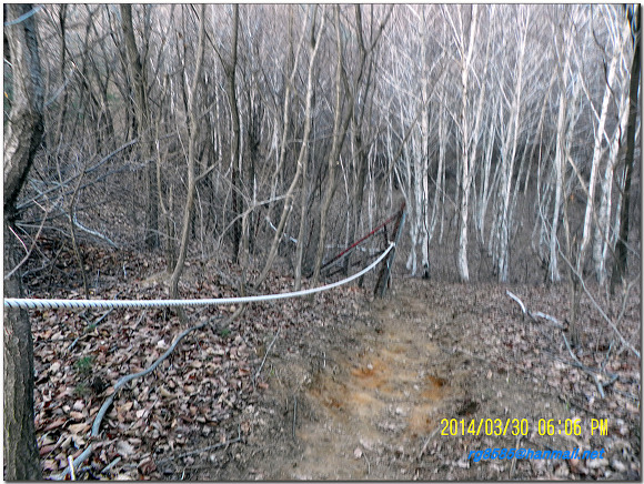 축령지맥(베어스타운-주금산-서리산-축령산-깃대봉-청평)