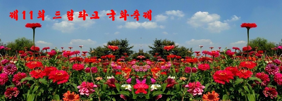 스킨파크 이미지