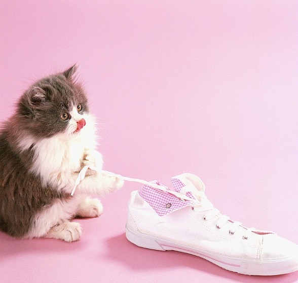 262E8F4F53015D79313FFA