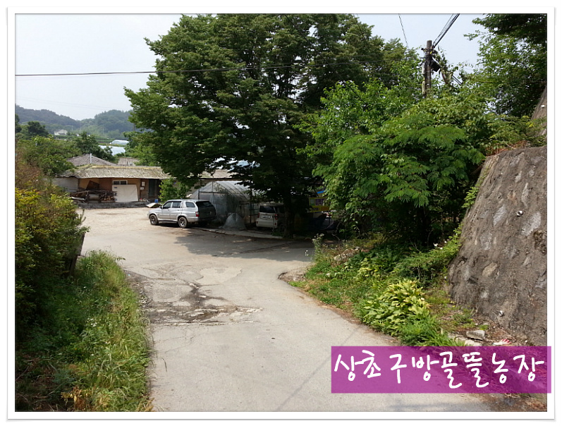 햇살담은농장 이미지