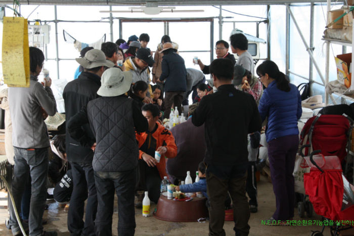 제주씨앗축제 2차 토종씨앗파종 작업 제주씨앗도서관