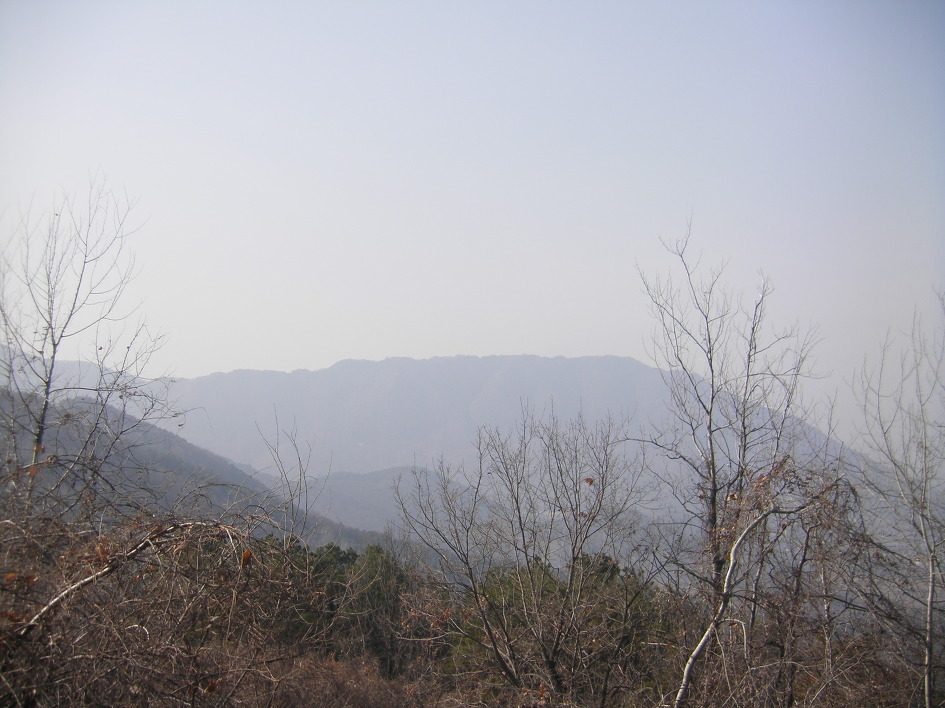 김해 금병산-응봉산
