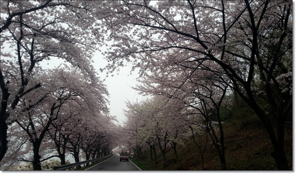 설천 이미지