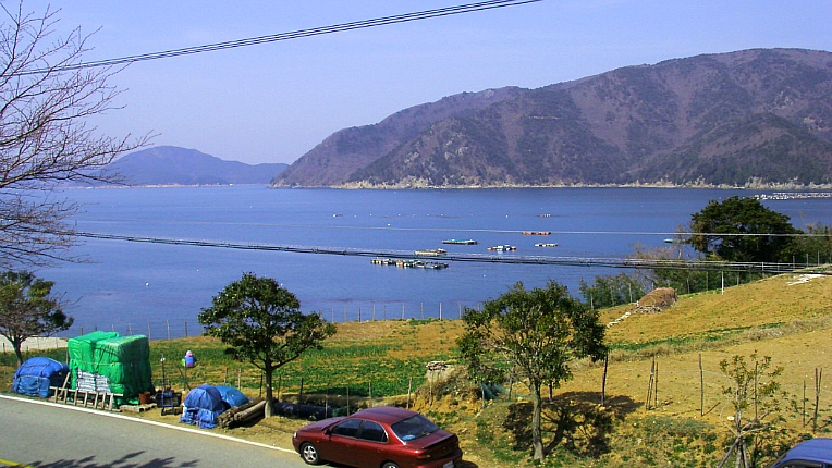 274D9A4A55040DD40CFA50