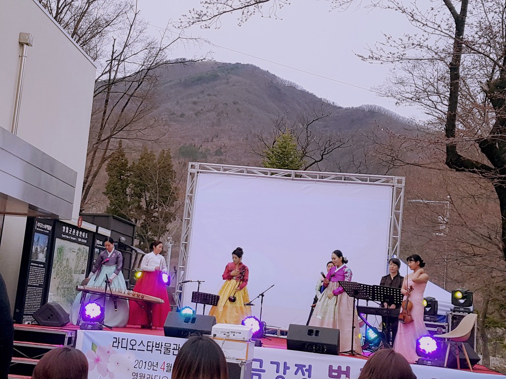 영월 라디오스타박물관 초청 음악회 '금강정 벚꽃향연'