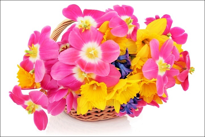 990B8B365E817D6927B67D