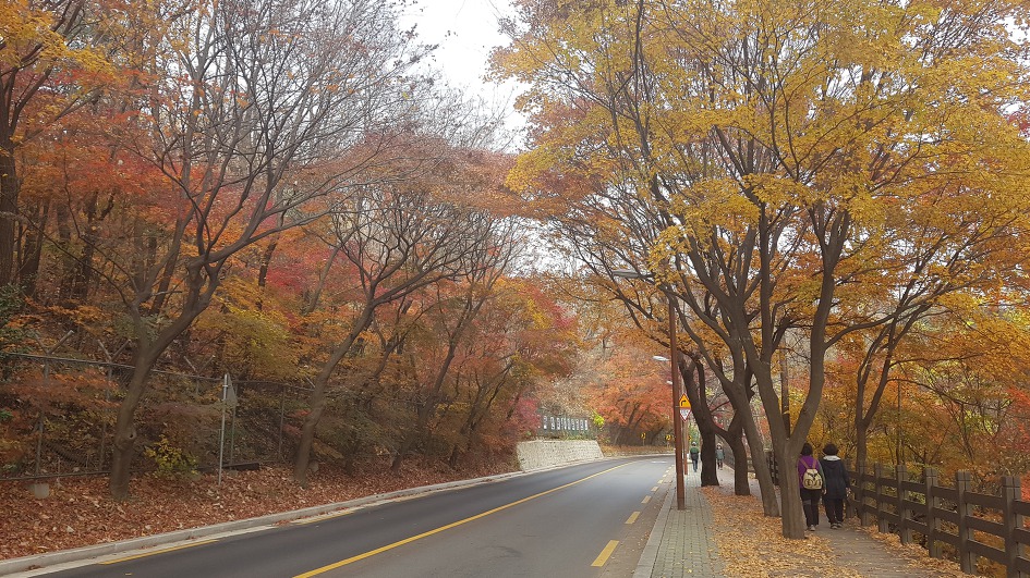 시즌 체인지