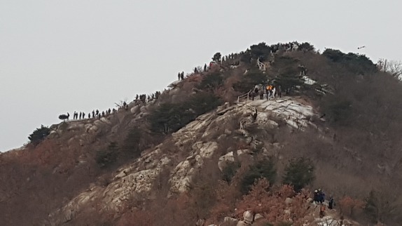 2019년 첫날 첫번째 해를 드립니다.