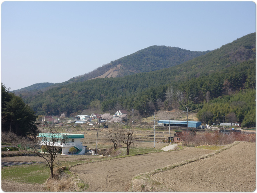 솔숲속 진달래 절정의 진주.작은 방어산~괘방산