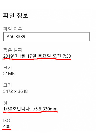 [주남지의 철새들] 황새가 왔다는 소식에 지인과 함께한 주남저수지, 멀리 떨어진 곳의 황새 4마리를 확인하다 / 토함