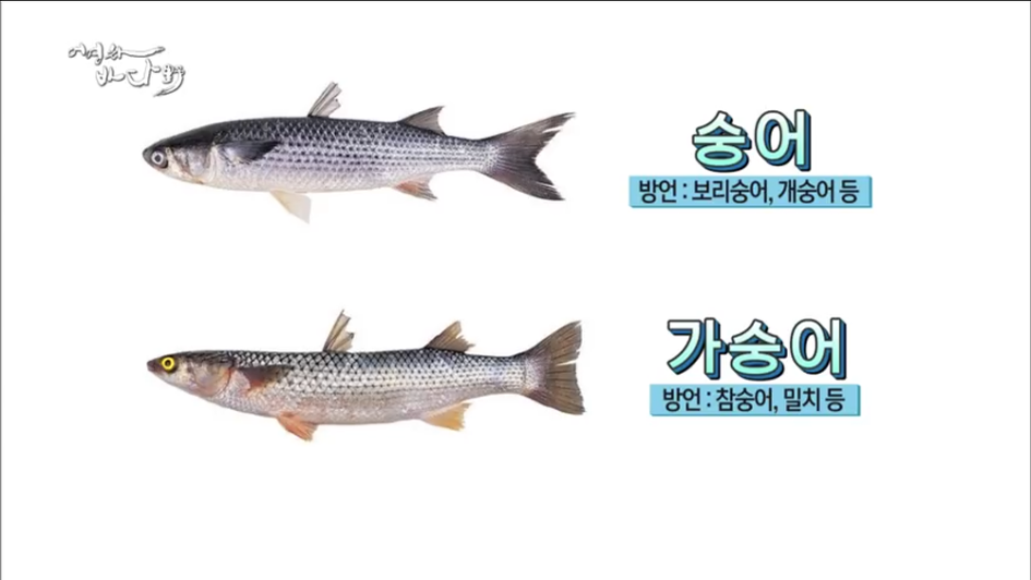 제철 맞은 대구 와룡산~
