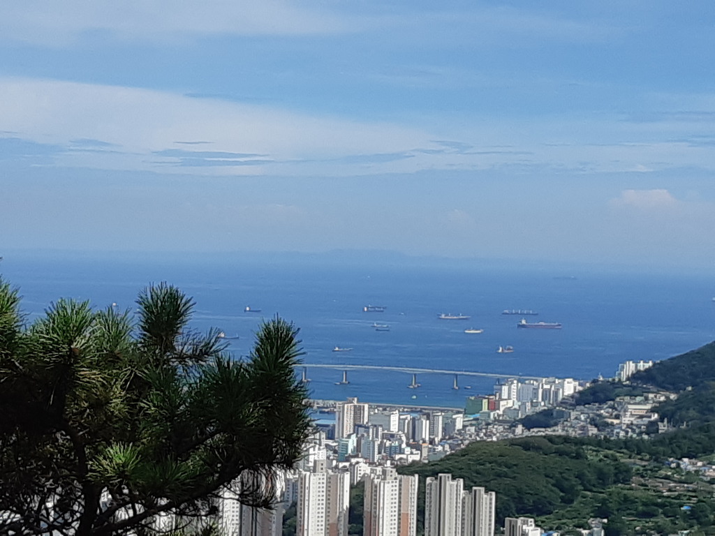 더워도 가을은 오고 있습니다.