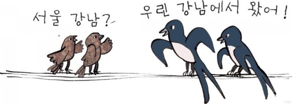 블로그 따라 강남 간다