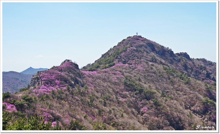 여수 진달래꽃 산행 명산 - 영취산 등산코스