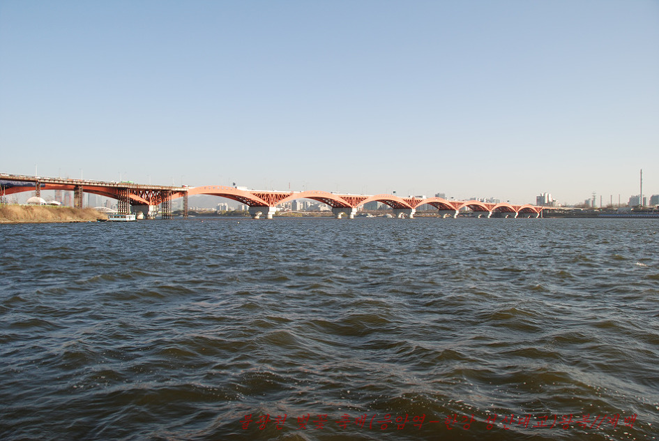 2019. 불광천 벚꽃축제(4월 5일~4월 6일까지 이틀간)